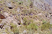 Inca Trail, Cusichaca Valley 